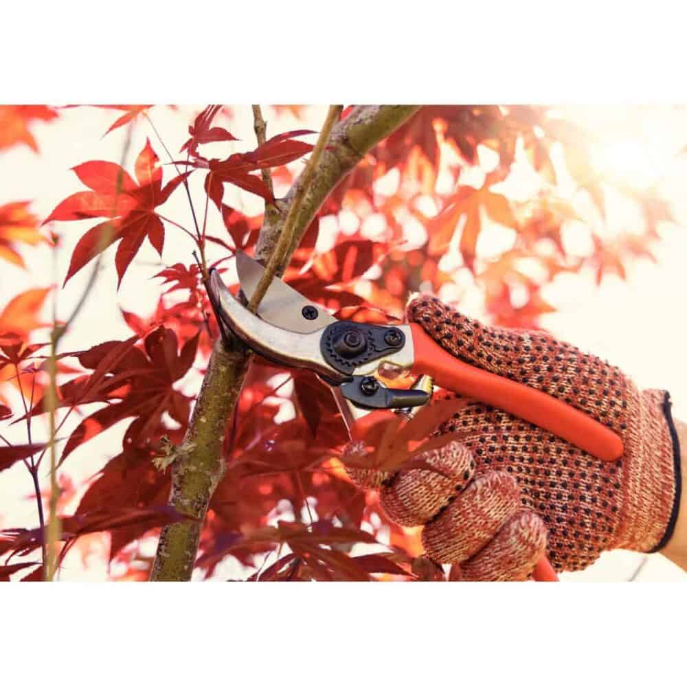 Bypass Pruner Orange - Image 3
