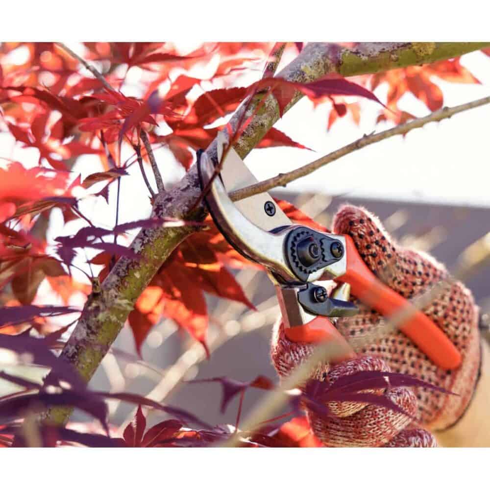 Bypass Pruner Orange - Image 4