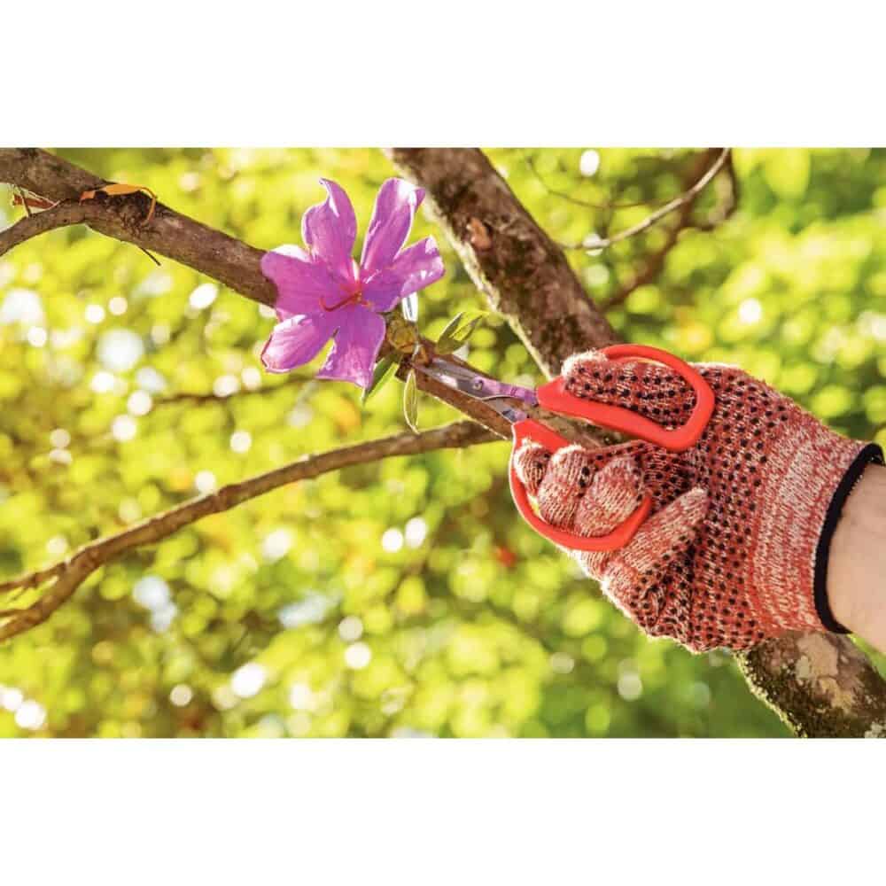 Fruit Pruner - Stainless Steel Blades - Image 6