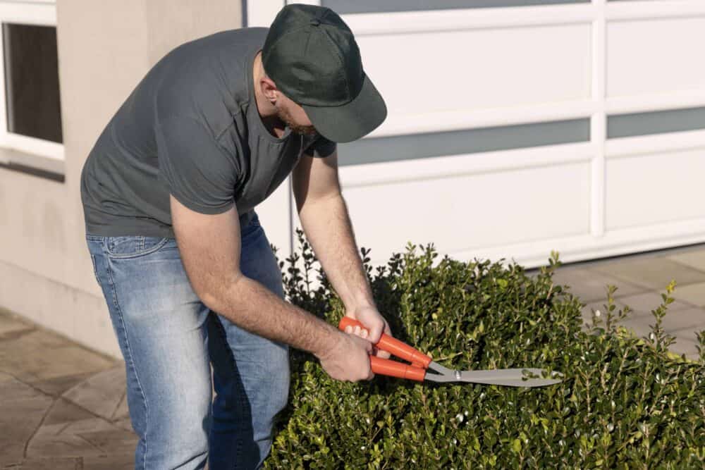 Grass and Hedge Shears with Metal Blades and Plastic Handles - Image 2