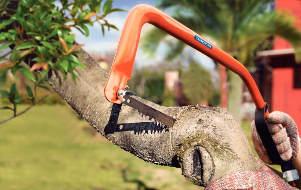 Professional Bow Pruning Saw 21" / 535 mm - Image 3